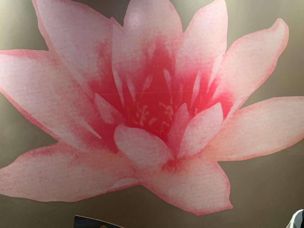 Fantastic China photo 3